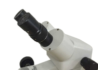 Gem Microscope with Magnification of 10X to 40X Continuous Variable