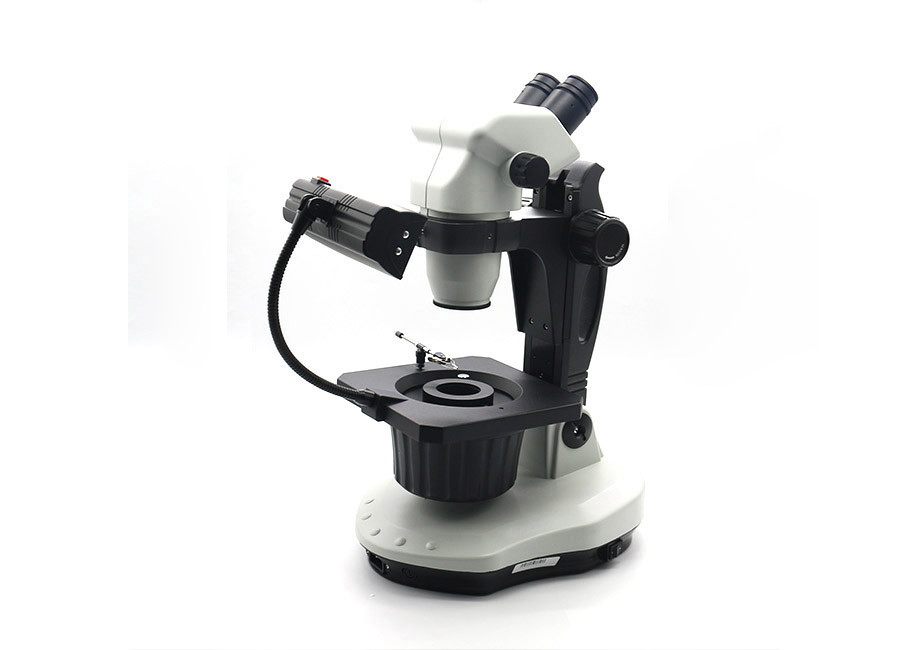 Rotatable Ellipse base Binocular Microscope With F07 binocular lens